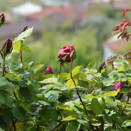 Frühstückspension L'uovo E La Faina 4*