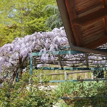 Frühstückspension L'uovo E La Faina