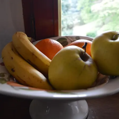 Frühstückspension L'uovo E La Faina