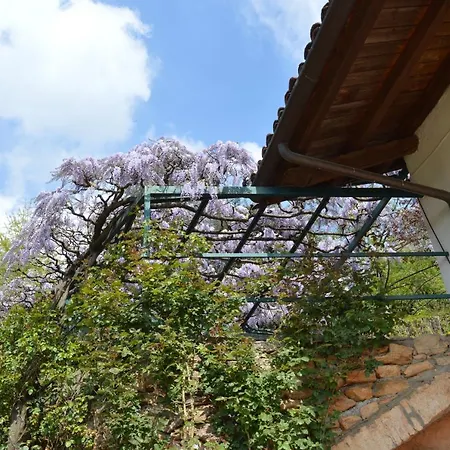 L'uovo E La Faina Busca