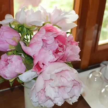 L'uovo E La Faina 4*