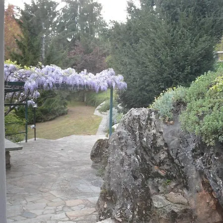 L'uovo E La Faina Busca