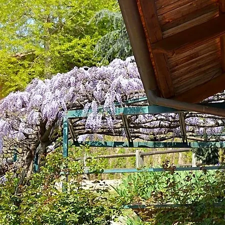 L'uovo E La Faina Bed & Breakfast