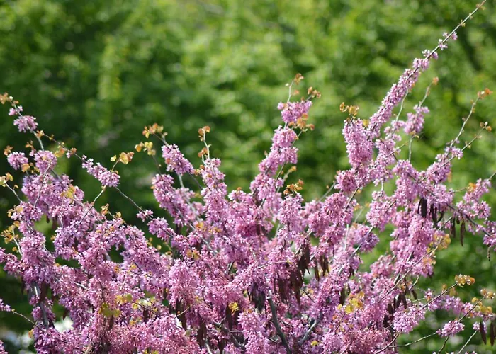 L'uovo E La Faina Отель типа 