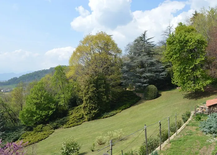 L'uovo E La Faina Busca