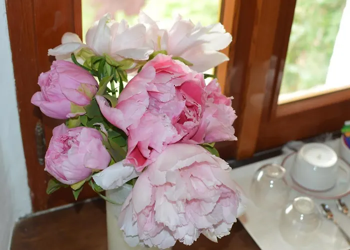 L'uovo E La Faina 4*