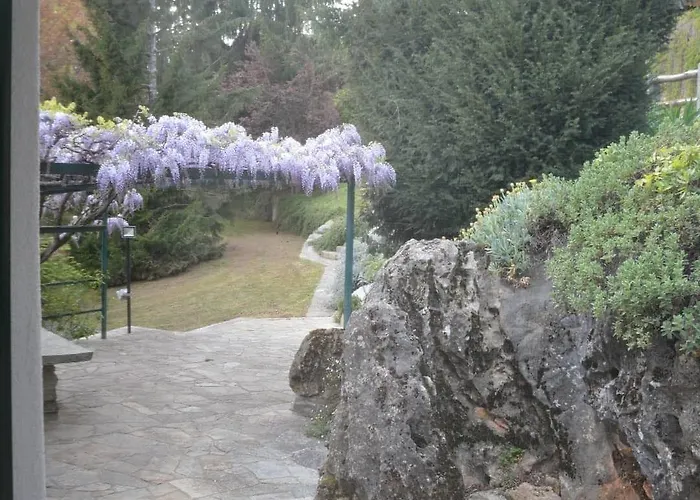 L'uovo E La Faina Busca